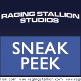 Raging Stallion
