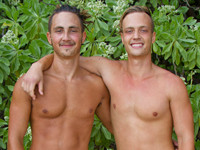 The Wise Brothers Island Studs