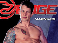 Magnums Falcon Studios