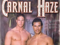 Carnal Haze Gay Hot Movies