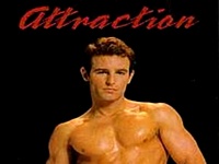 Attraction Gay Hot Movies
