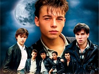 Wild and Crazy Gay Hot Movies