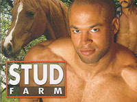 Stud Farm Gay Hot Movies