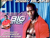 Big Stick Bobby Gay Empire