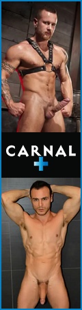 Carnal Plus