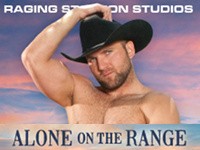 Alone on the Range Raging Stallion