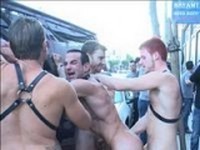 Naked Pandas Bound in Public