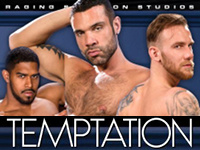 Temptation Raging Stallion