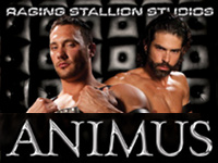 Animus Raging Stallion