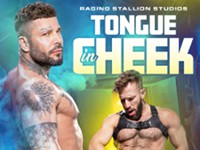 Tongue in Cheek Raging Stallion