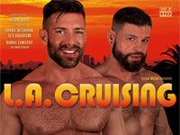 LA Cruising Gay Hot Movies