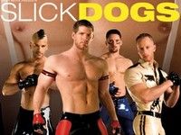 Slick Dogs Gay Hot Movies