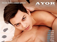 Seduction Gay Hot Movies