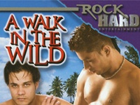 Wild Walk Gay Hot Movies