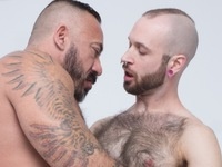 Alessio and Reid Bear Films
