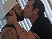 Torruco and Halim Bear Films