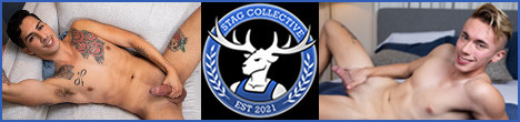 Stag Collective