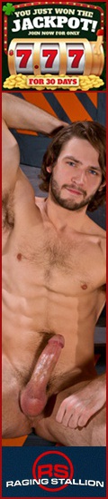 Raging Stallion